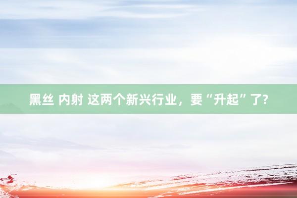 黑丝 内射 这两个新兴行业，要“升起”了?