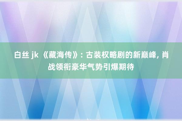 白丝 jk 《藏海传》: 古装权略剧的新巅峰， 肖战领衔豪华气势引爆期待
