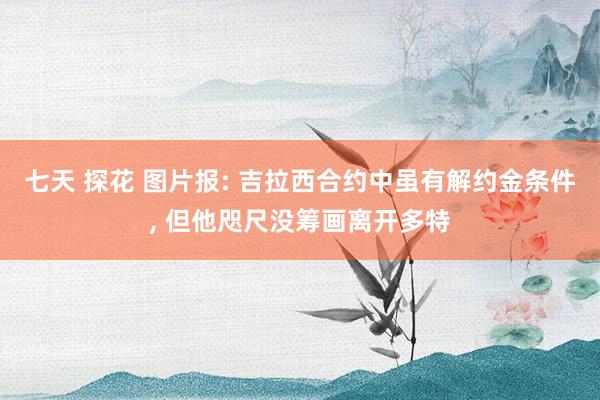 七天 探花 图片报: 吉拉西合约中虽有解约金条件， 但他咫尺没筹画离开多特