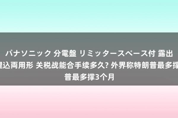 パナソニック 分電盤 リミッタースペース付 露出・半埋込両用形 关税战能合手续多久? 外界称特朗普最多撑3个月