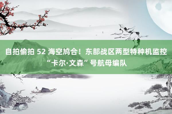 自拍偷拍 52 海空鸠合！东部战区两型特种机监控“卡尔·文森”号航母编队